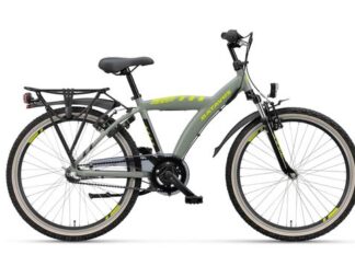 BATAVUS Snake 24 Jongens Groen 38cm 2025